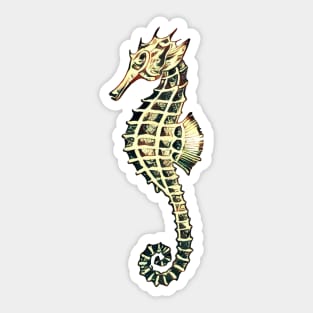 Seahorse drawing Sticker